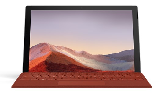 保亭清洁和维护 Surface